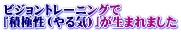 ビジョントレーニングで 『積極性(やる気)』が生まれました