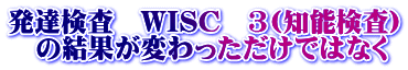 発達検査 WISC 3(知能検査) の結果が変わっただけではなく
